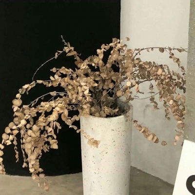 兽设校园场景设计福瑞群